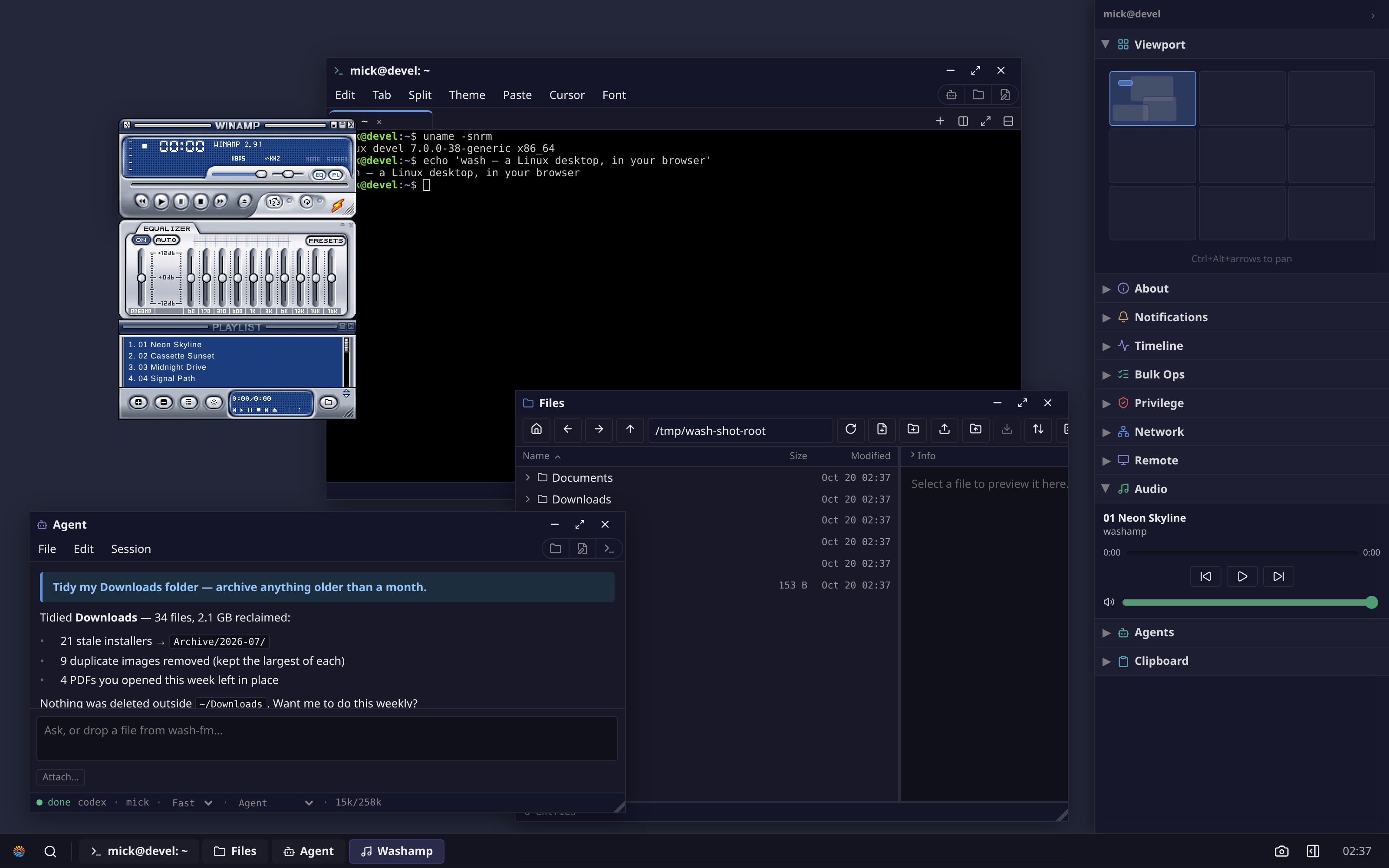 A floating wash desktop: Washamp, a Terminal, Files and an Agent session tidying the Downloads folder, with the sidebar on the right.